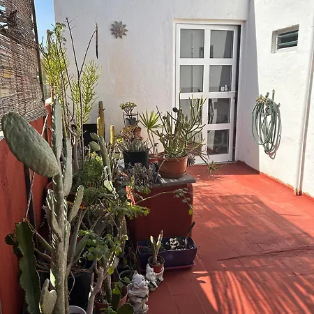 Atico Sol مْبيسينداريو